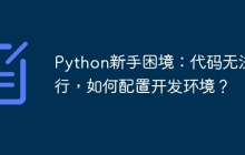 Python新手困境：代码无法运行，如何配置开发环境？