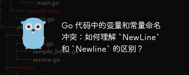 go 代码中的变量和常量命名冲突：如何理解 `newline` 和 `newline` 的区别？