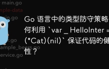 Go 语言中的类型防守策略：如何利用 `var _ HelloInter = (*Cat)(nil)` 保证代码的健壮性？