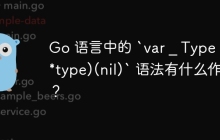 Go 语言中的 `var _ Type = (*type)(nil)` 语法有什么作用？