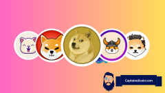 DOGE, SHIB 및 PEPE는 여전히 펌핑 중입니다 – 나머지 시장을 능가하는 새로운 밈