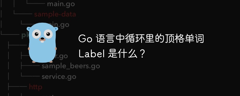 go 语言中循环里的顶格单词 label 是什么？