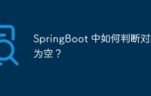 SpringBoot 中如何判断对象为空？