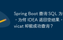 Spring Boot 查询 SQL 为空，为何 IDEA 返回空结果，Navicat 却能成功查询？