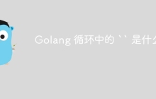 Golang 循环中的 `` 是什么？