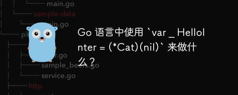 go 语言中使用 `var _ hellointer = (*cat)(nil)` 来做什么？