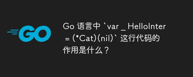 go 语言中 `var _ hellointer = (*cat)(nil)` 这行代码的作用是什么？
