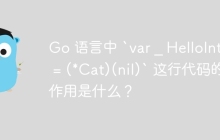 Go 语言中 `var _ HelloInter = (*Cat)(nil)` 这行代码的作用是什么？