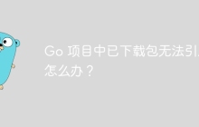 Go 项目中已下载包无法引用怎么办？