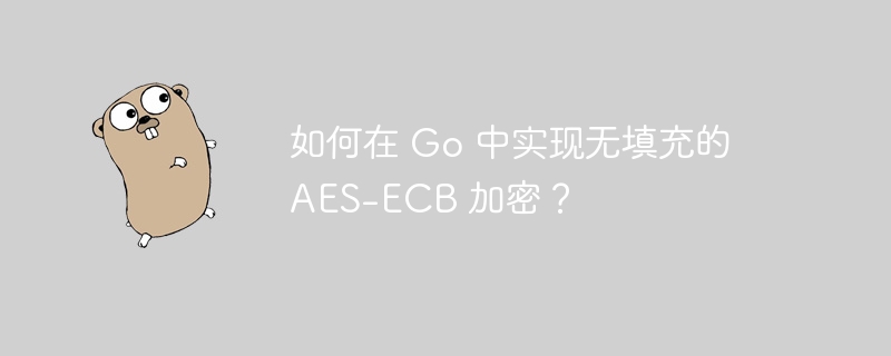 如何在 go 中实现无填充的 aes-ecb 加密？