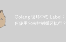 Golang 循环中的 Label：如何使用它来控制循环执行？