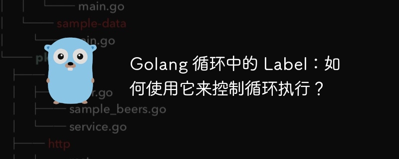 golang 循环中的 label：如何使用它来控制循环执行？