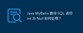 Java MyBatis 查询 SQL 返回 int 为 Null 如何处理？