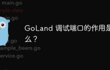 GoLand 调试端口的作用是什么？