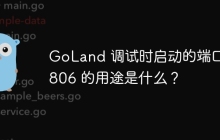 GoLand 调试时启动的端口63806 的用途是什么？