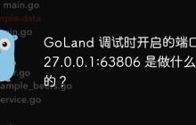 GoLand 调试时开启的端口 127.0.0.1:63806 是做什么用的？