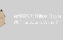 如何将切片转换为 []byte 以用于 net.Conn.Write？