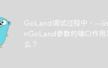 GoLand调试过程中，--listenGoLand参数的端口作用是什么？