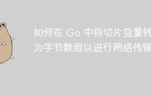 如何在 Go 中将切片变量转换为字节数组以进行网络传输？