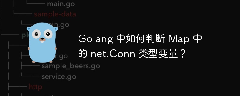 golang 中如何判断 map 中的 net.conn 类型变量？