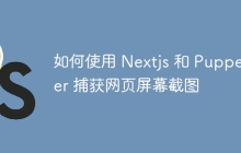 如何使用 Nextjs 和 Puppeteer 捕获网页屏幕截图