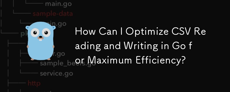 効率を最大化するために Go での CSV の読み取りと書き込みを最適化するにはどうすればよいですか?