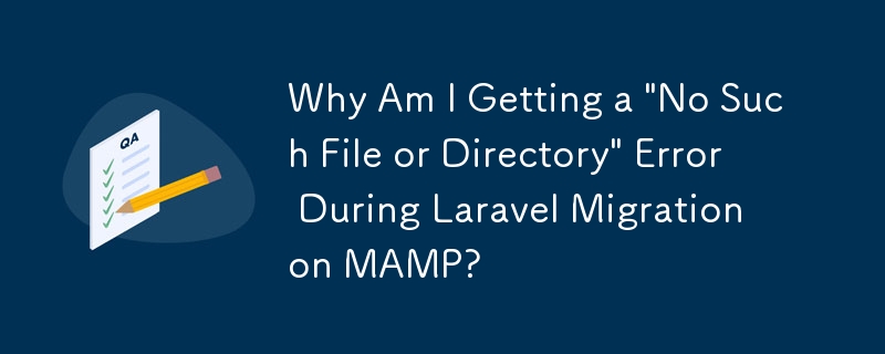 为什么我在 MAMP 上迁移 Laravel 时收到“没有这样的文件或目录”错误？