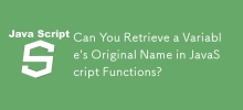 Can You Retrieve a Variable\'s Original Name in JavaScript Functions?