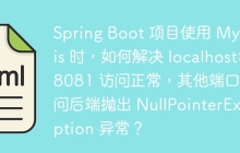 Spring Boot 项目使用 MyBatis 时，如何解决 localhost:8081 访问正常，其他端口访问后端抛出 NullPointerException 异常？