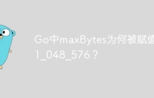 Go中maxBytes为何被赋值为1_048_576？