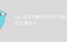 Go 语言中数字中的下划线是什么意思？