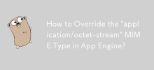 如何覆寫 App Engine 中的「application/octet-stream」MIME 類型？