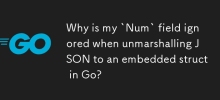 為什麼在 Go 中將 JSON 解組到嵌入結構時我的'Num”字段被忽略？
