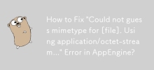 如何修復 AppEngine 中的'無法猜測 [文件] 的 mimetype。使用 application/octet-stream...”錯誤？