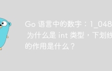Go 语言中的数字：1_048_576 为什么是 int 类型，下划线的作用是什么？