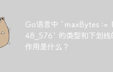Go语言中 `maxBytes := 1_048_576` 的类型和下划线的作用是什么？