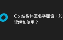 Go 结构体匿名字面值：如何理解和使用？