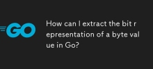 如何在 Go 中提取位元組值的位元表示？