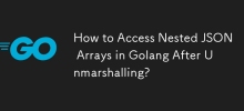 解組後如何存取 Golang 中的巢狀 JSON 陣列？