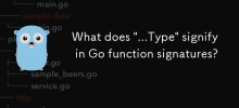 「...Type」在 Go 函數簽章中代表什麼？