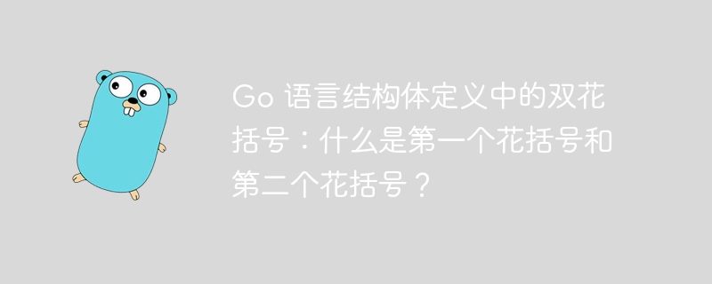go 语言结构体定义中的双花括号：什么是第一个花括号和第二个花括号？