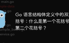 Go 语言结构体定义中的双花括号：什么是第一个花括号和第二个花括号？