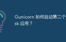 Gunicorn 如何启动第二个 Flask 应用？