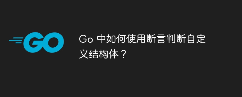 go 中如何使用断言判断自定义结构体？