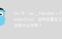 Go 中 `var _ Handler = (*handler)(nil)` 这种变量定义写法有什么作用？