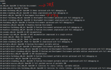 Linux 发行版中令人困惑的 JRE 和 JDK 包命名