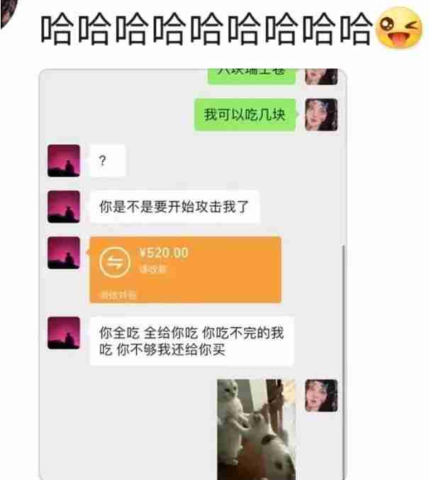 瑞士卷八个我能吃几个梗介绍