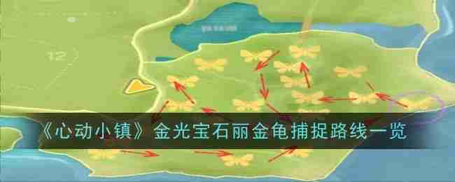 《心动小镇》金光宝石丽金龟捕捉路线一览