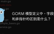 GORM 模型定义中，字段指针和非指针的区别是什么？