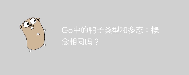go中的鸭子类型和多态：概念相同吗？